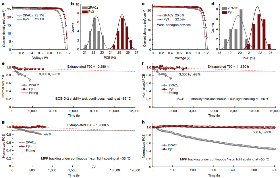 浙大薛晶晶&西湖大學(xué)王睿，最新Nature！