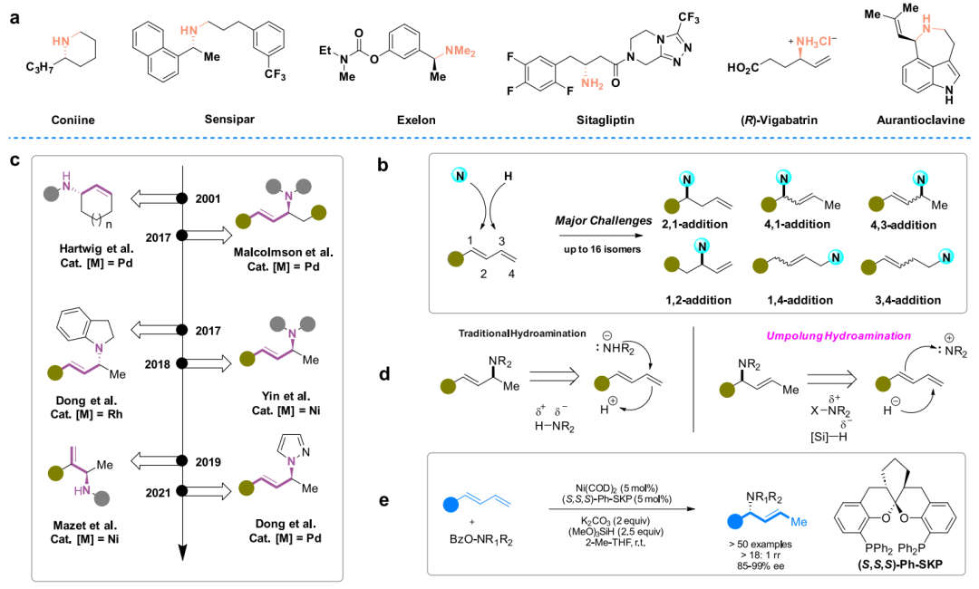 重磅！丁奎嶺院士，最新JACS！