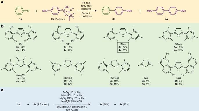 鐵基催化，登頂Nature Catalysis！