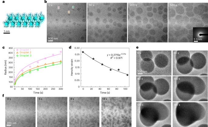 院士領(lǐng)銜！南京大學(xué)，最新Nature Materials！