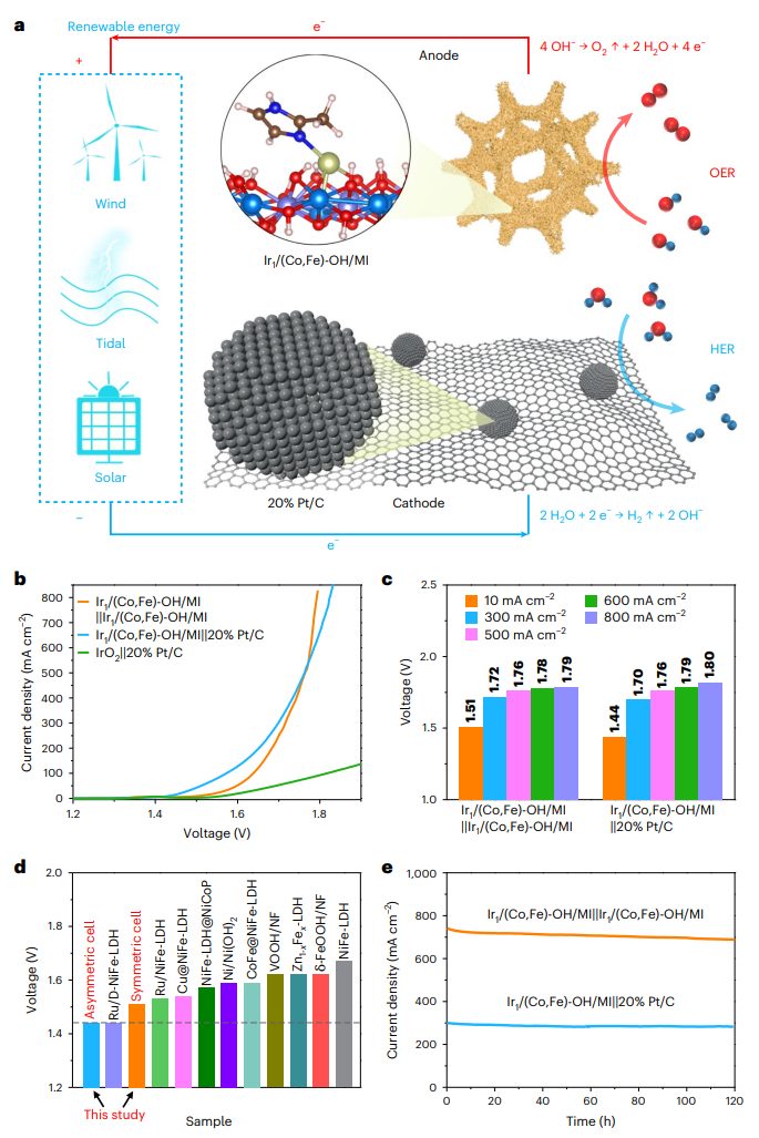 深圳大學，最新Nature Nanotechnology！投稿到接收，剛好1年！