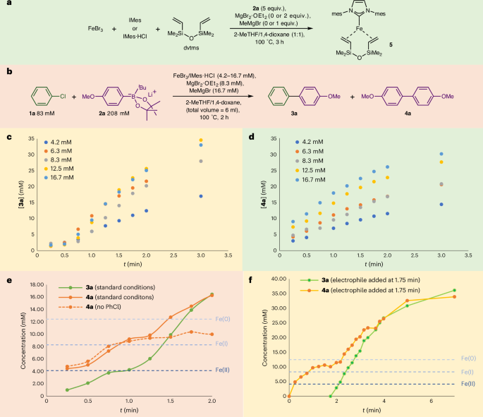 鐵基催化，登頂Nature Catalysis！