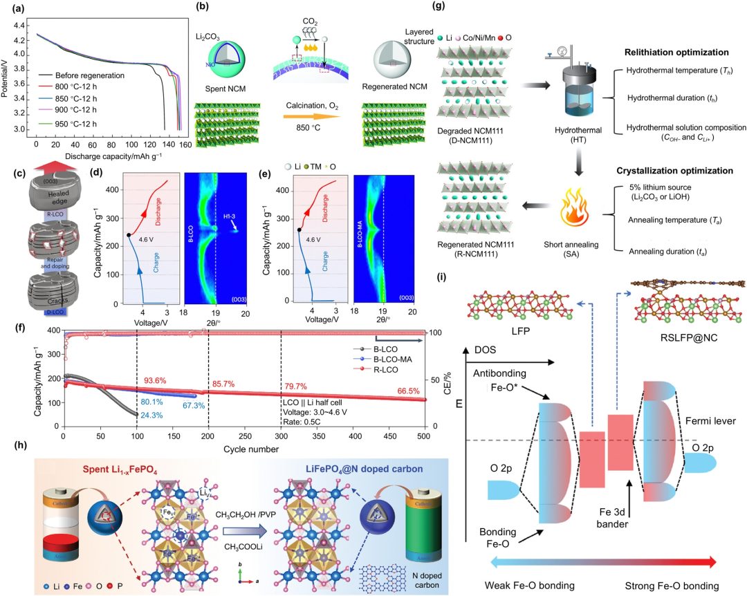 IF=40.4！清華大學(xué)&東北大學(xué)，最新Chem Soc Rev！