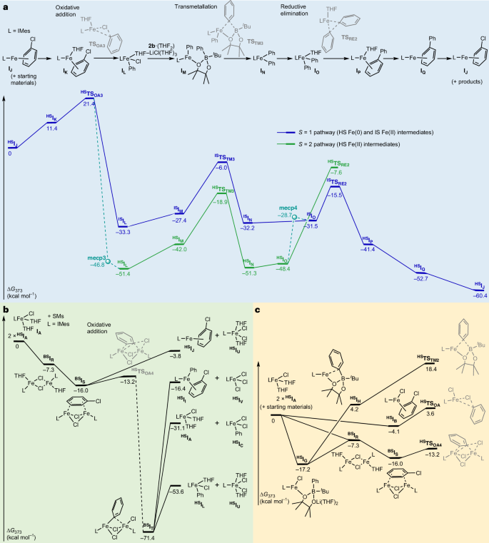 鐵基催化，登頂Nature Catalysis！