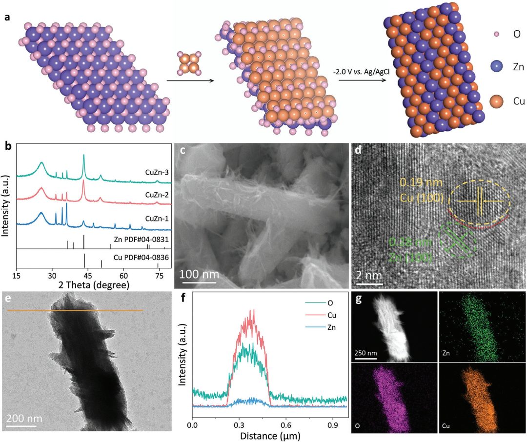 廣州大學(xué)，最新AFM！