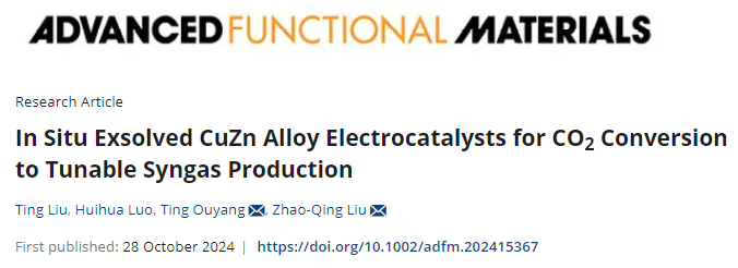 廣州大學(xué)，最新AFM！