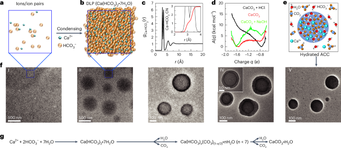 院士領(lǐng)銜！南京大學(xué)，最新Nature Materials！