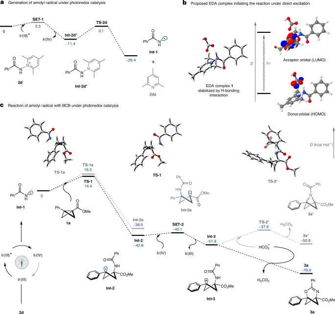 Glorius院士，最新Nature Catalysis！