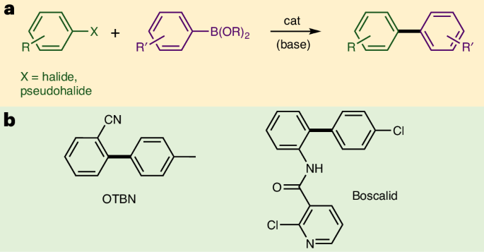 鐵基催化，登頂Nature Catalysis！