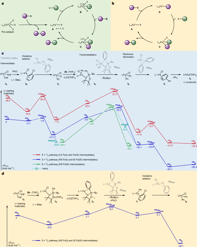 鐵基催化，登頂Nature Catalysis！