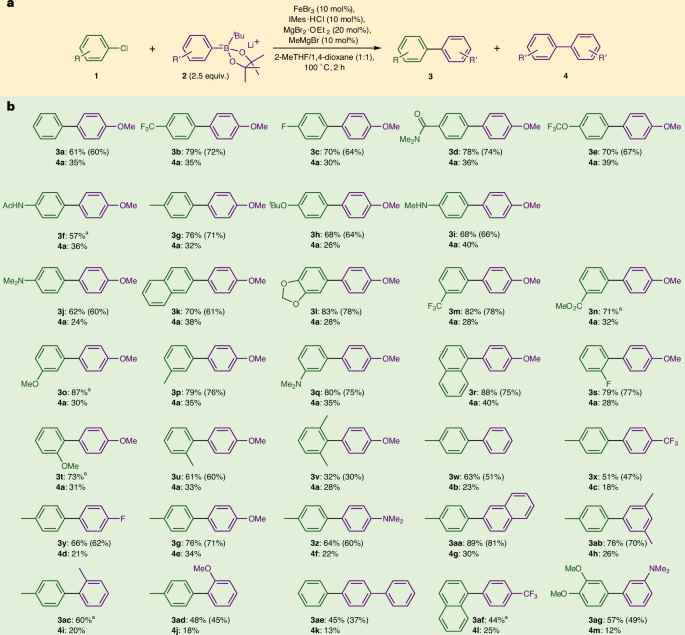 鐵基催化，登頂Nature Catalysis！