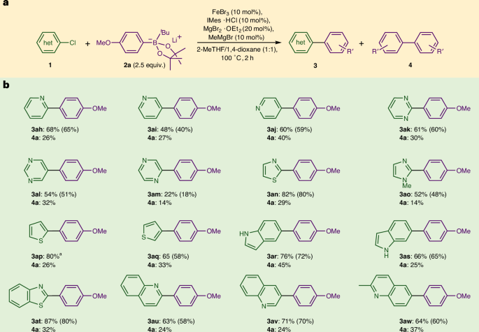 鐵基催化，登頂Nature Catalysis！