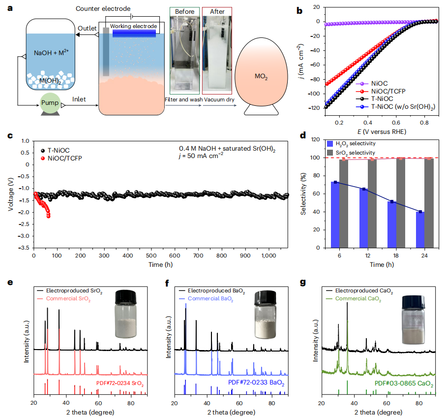 奇思妙想！他，師從崔屹/孫曉明，「國家高層次人才」，新發(fā)Nature Nanotechnology！