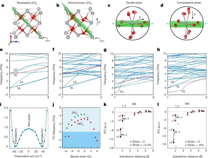 中國(guó)科學(xué)院，最新Nature！