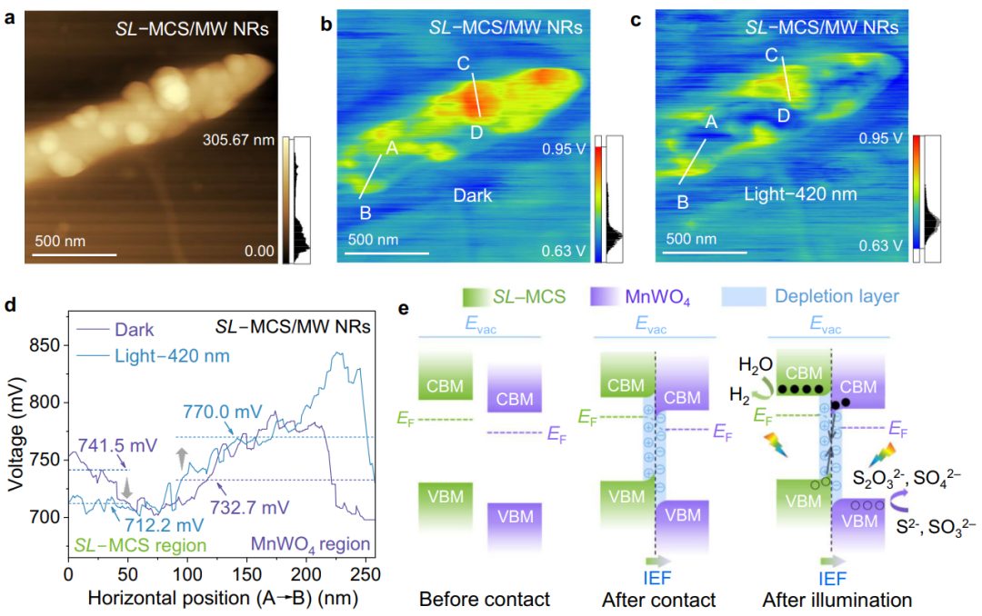 武理工「國家優(yōu)青」，聯(lián)合余家國教授，最新Nature子刊！