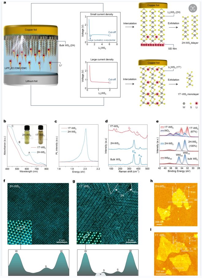 香港城市大學曾志遠教授等Nature Synthesis：可溶液處理的 WS2 單層或雙層的相態(tài)可切換合成