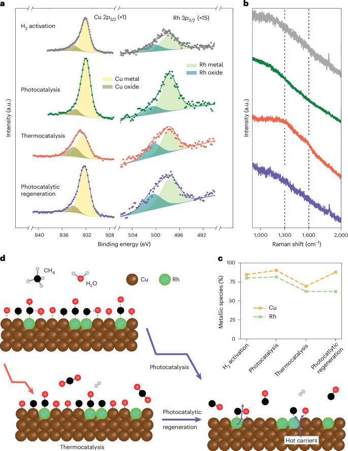 三院院士領(lǐng)銜！光催化，再登Nature Catalysis！