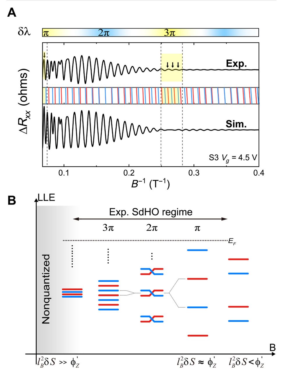 浙江大學(xué)， 新發(fā)Science子刊！