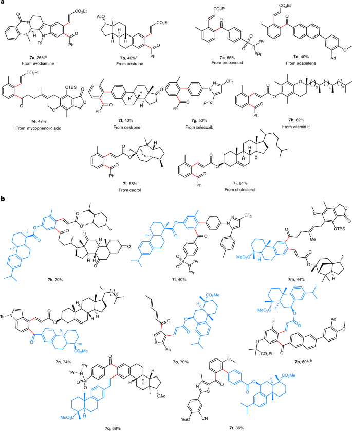 上海藥物所/杭高院，新發(fā)Nature Synthesis??！