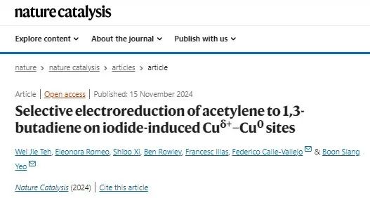 電催化，Nature Catalysis！