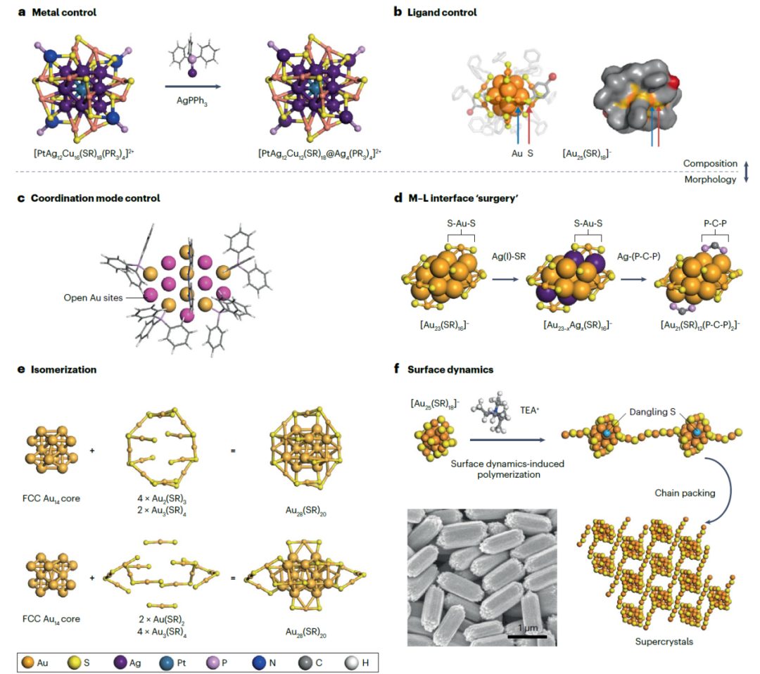 天津大學(xué)胡文平/姚橋峰、新加坡國(guó)立大學(xué)謝建平Nature Reviews Materials綜述