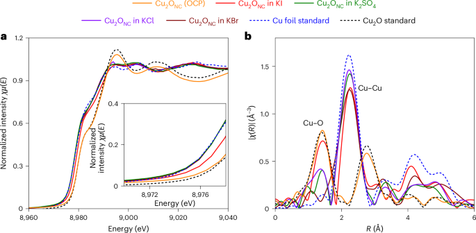 電催化，Nature Catalysis！