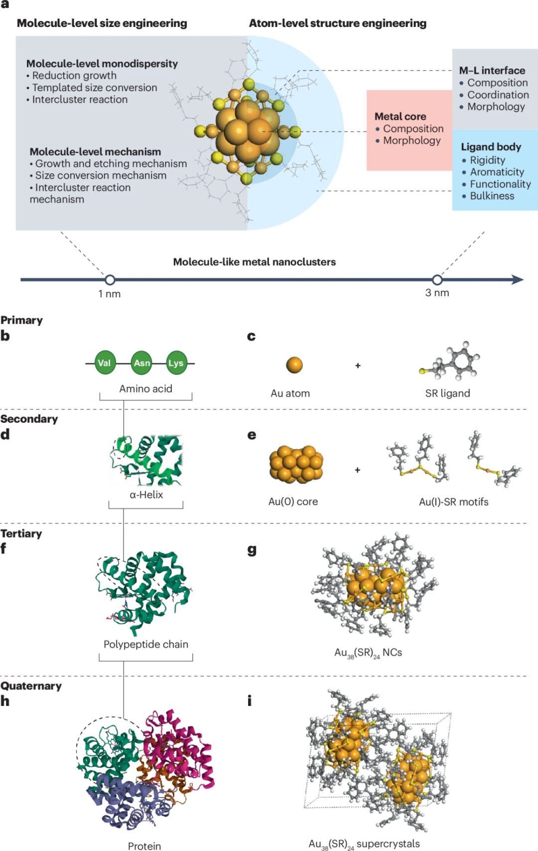 天津大學(xué)胡文平/姚橋峰、新加坡國(guó)立大學(xué)謝建平Nature Reviews Materials綜述