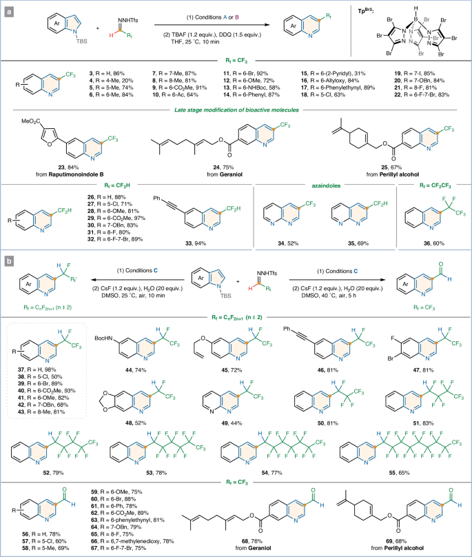 牛！他，211「長江學(xué)者/國家優(yōu)青/洪堡學(xué)者」,發(fā)完Nat. Chem./Angew，再發(fā)Nature子刊！