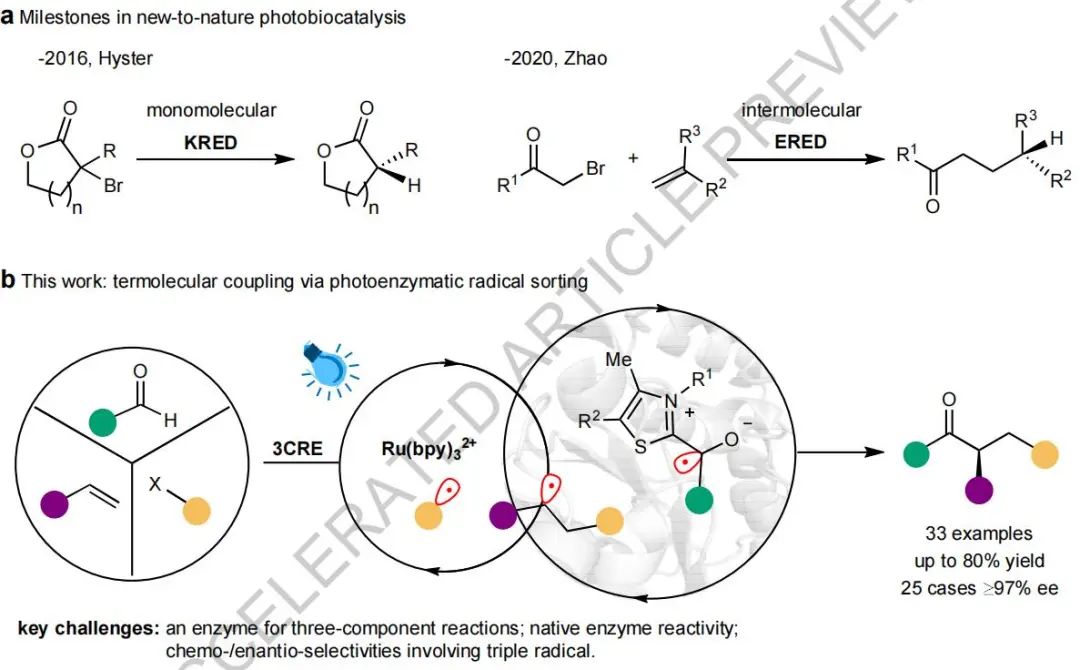 牛！南京大學(xué)，重磅Nature！迎來(lái)今年第6篇Nature/Science正刊！