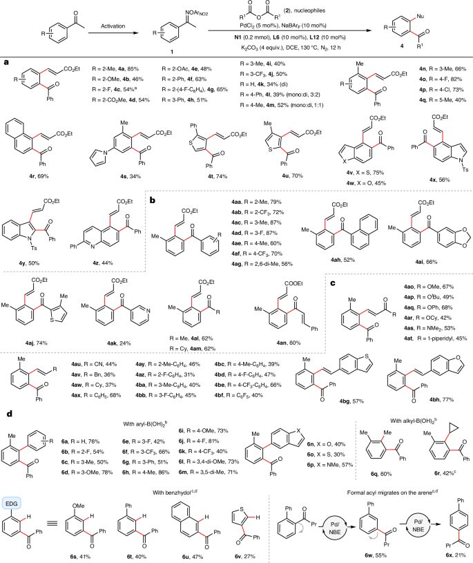 上海藥物所/杭高院，新發(fā)Nature Synthesis??！