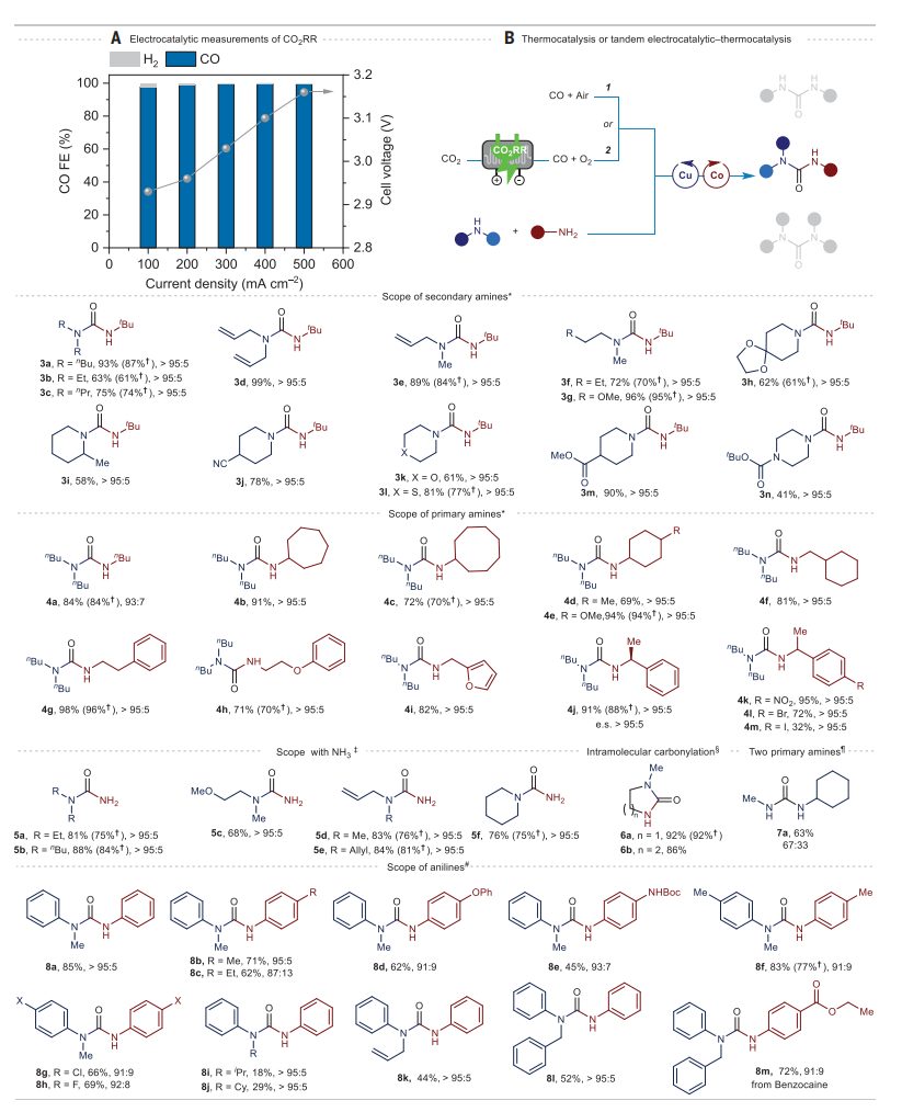 重磅！中科院蘭州化物所，首篇Science！