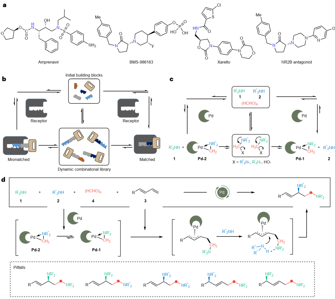 中科大「國家杰青」黃漢明，最新Nature Chemistry！