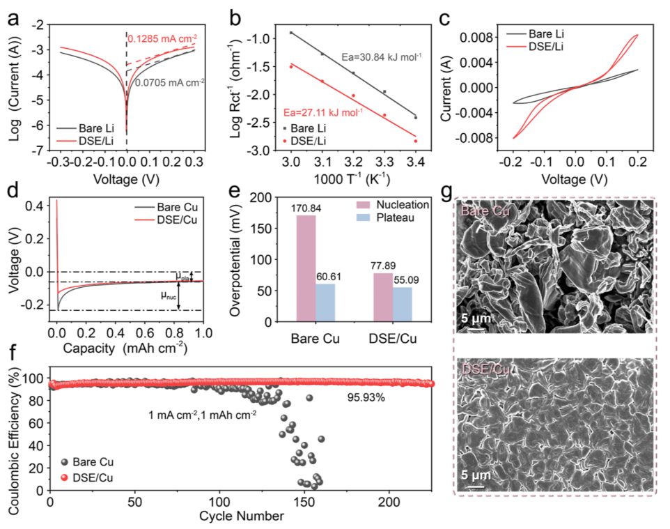 他，曾破格晉升教授，現(xiàn)任985高校院長，新發(fā)JACS：打造無枝晶鋰負(fù)極！