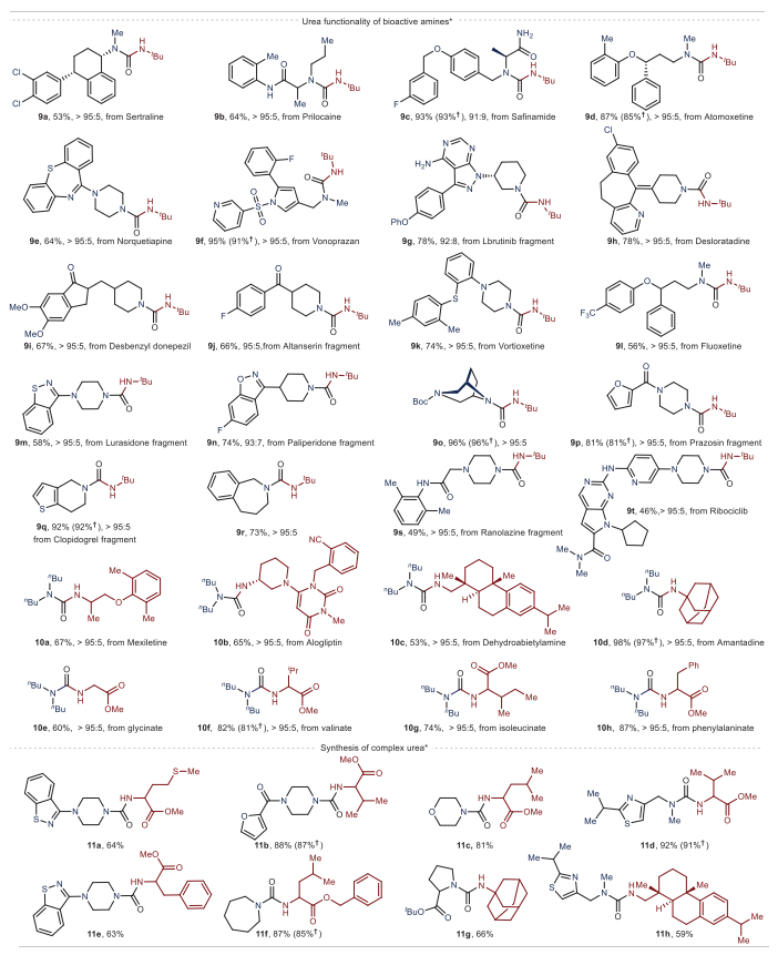 重磅！中科院蘭州化物所，首篇Science！