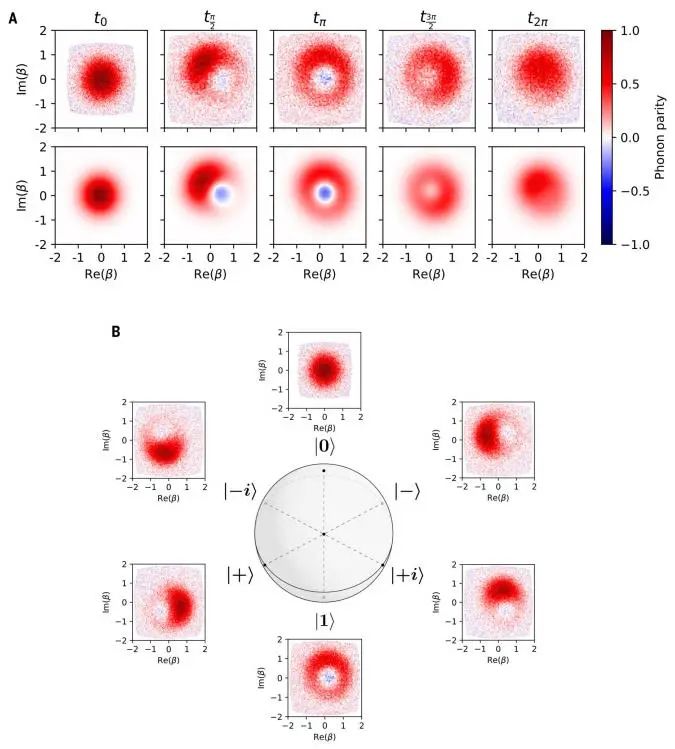 標(biāo)題三個詞，一篇Science！