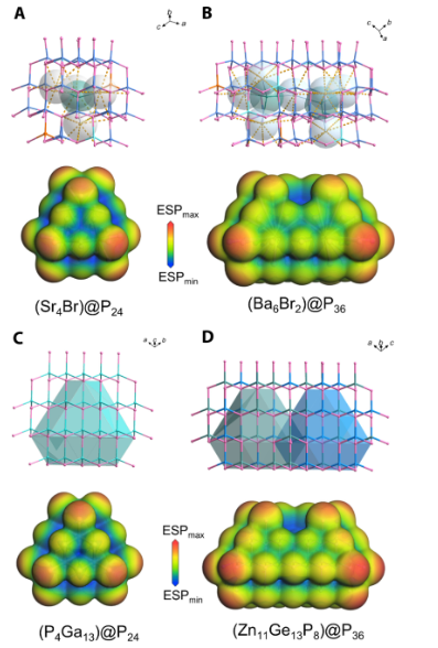 突破！這所雙非，今年首篇Science Advances！