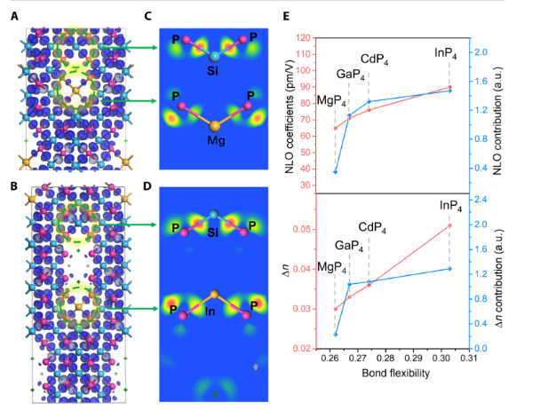 突破！這所雙非，今年首篇Science Advances！