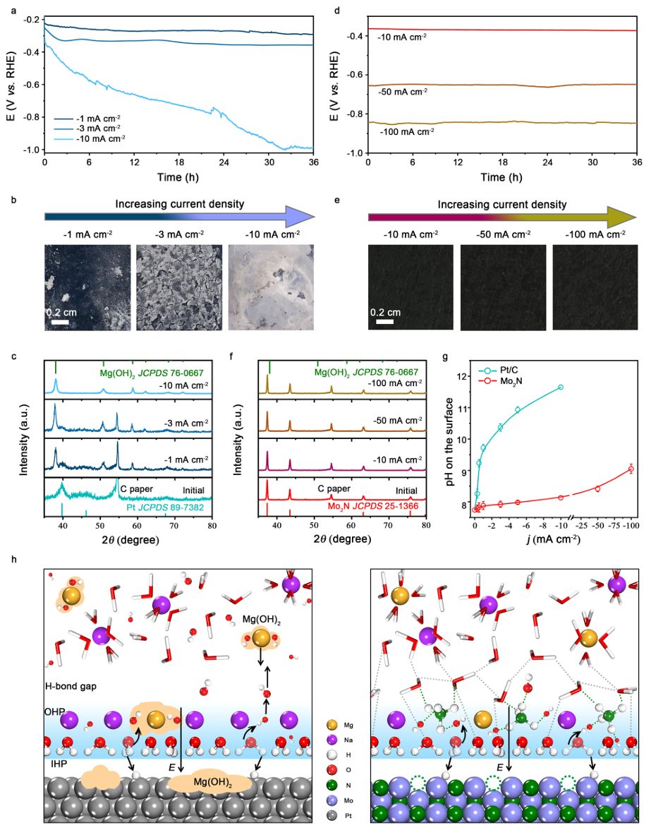 中科大高敏銳，最新Nature子刊！