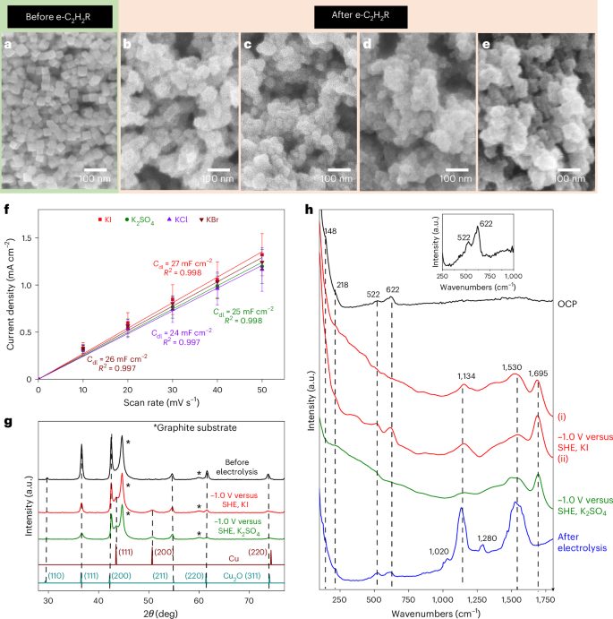 電催化，Nature Catalysis！