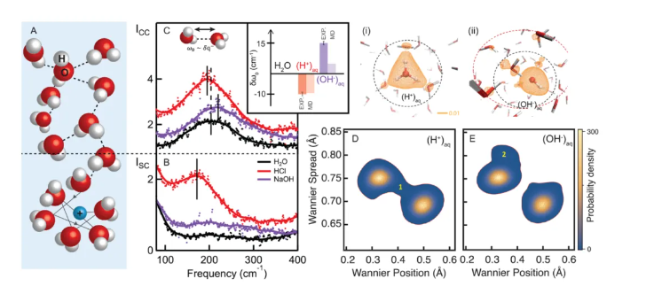 首次！這篇Science，“看到”了水中的氫鍵！