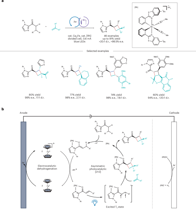 廈門大學(xué), Nature Catalysis評論文章！