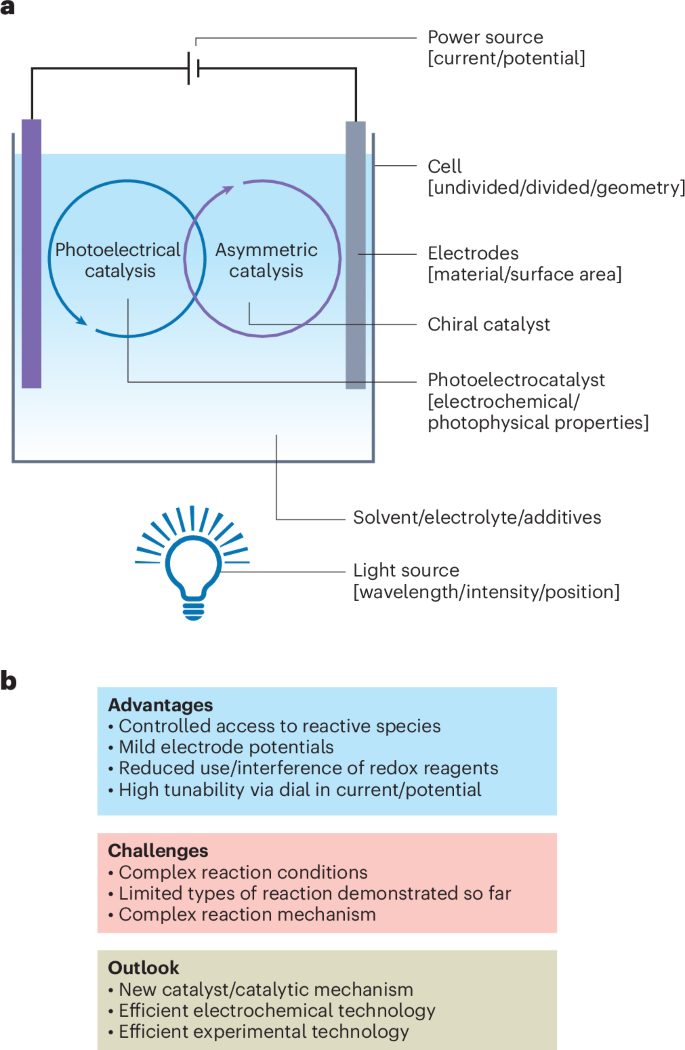 廈門大學(xué), Nature Catalysis評論文章！