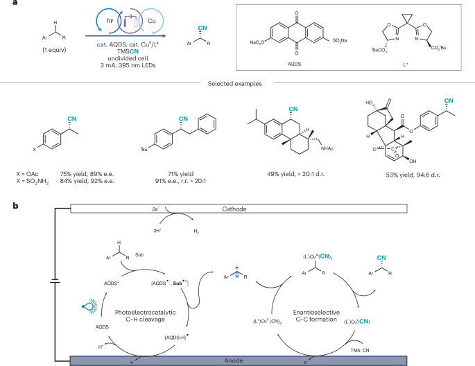 廈門大學(xué), Nature Catalysis評論文章！