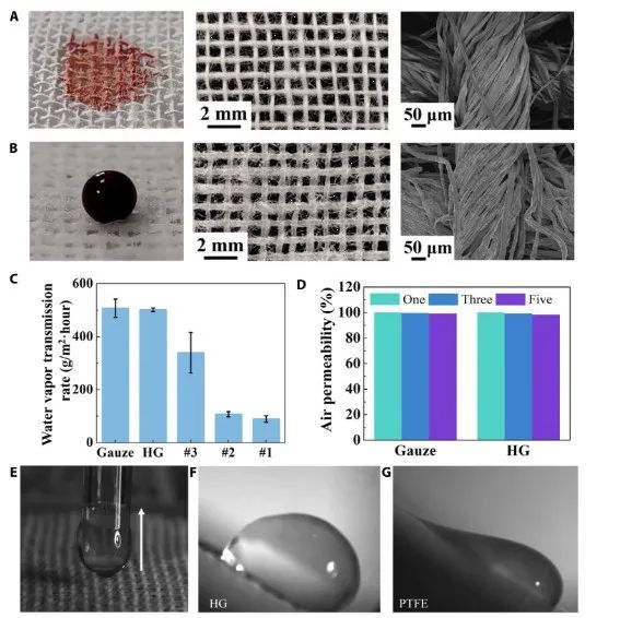 第一完成單位！這所雙非高校，新發(fā)Science子刊！