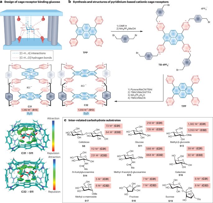 作者僅3人！中山大學(xué)，新發(fā)Nature Reviews Chemistry！