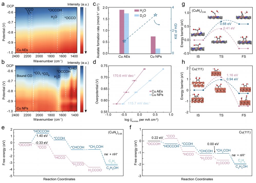 化學所韓布興院士&孫曉甫，最新JACS！