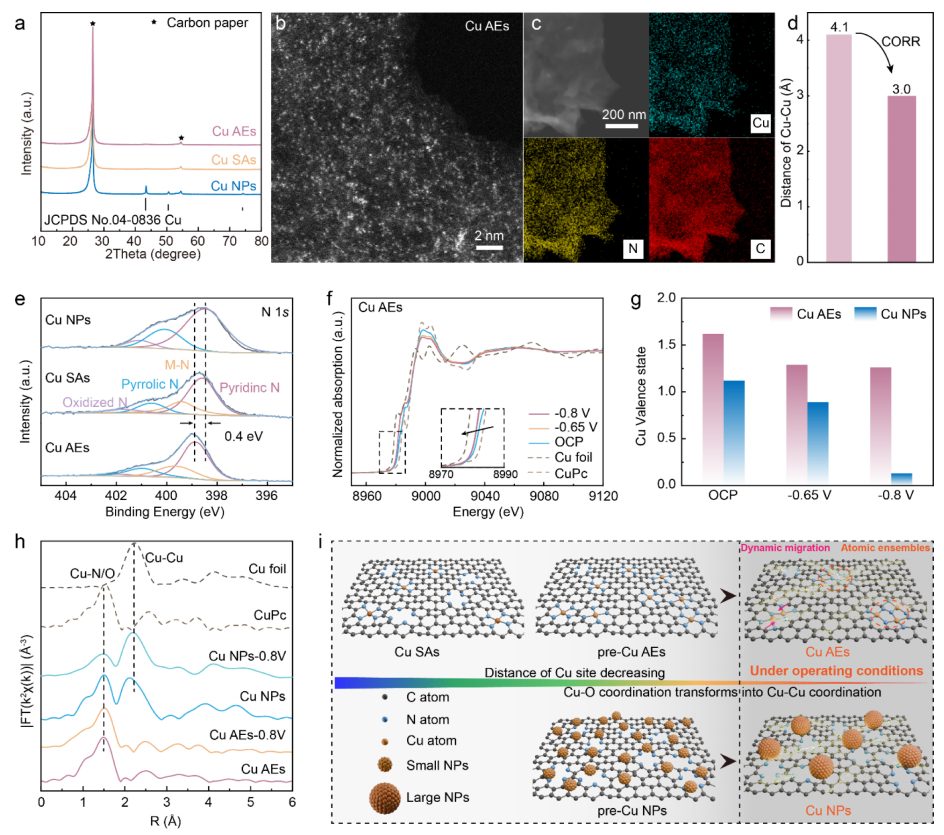 化學所韓布興院士&孫曉甫，最新JACS！