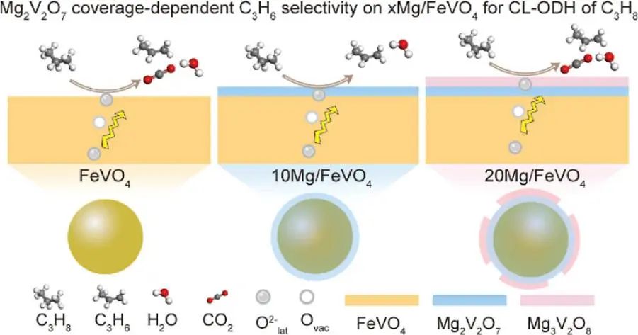 鞏金龍，最新ACS Catalysis！