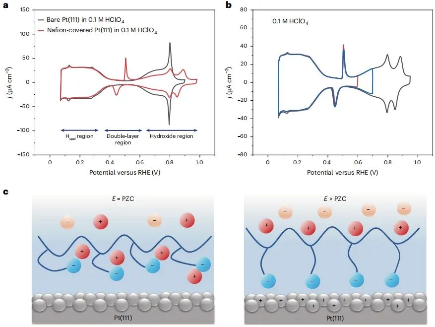 北京大學，Nature Catalysis！