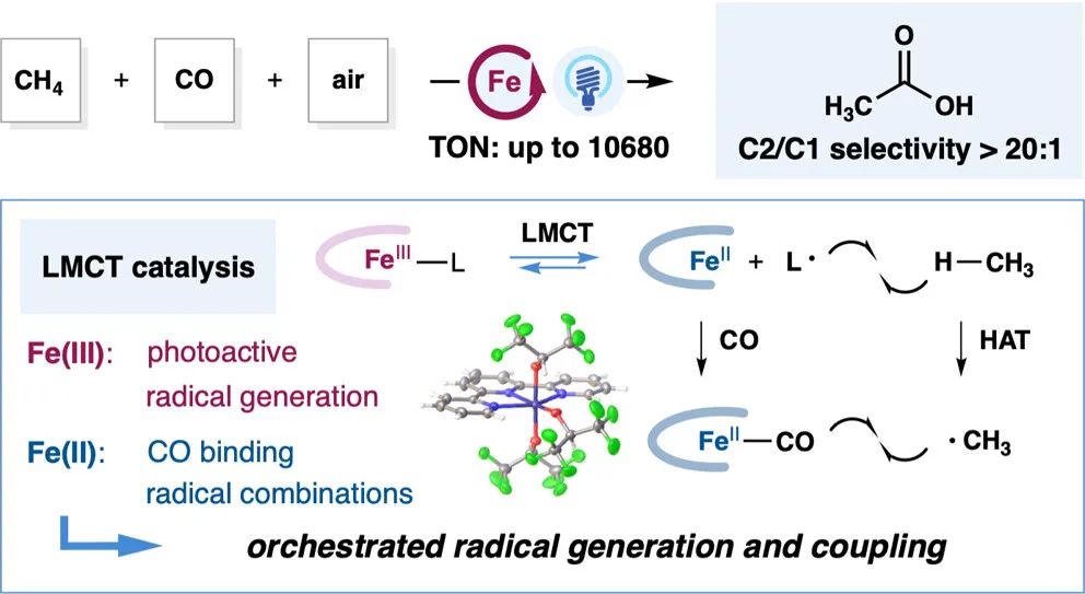 他，手握2篇Science，中科院上海有機化學研究所左智偉，發(fā)表JACS！